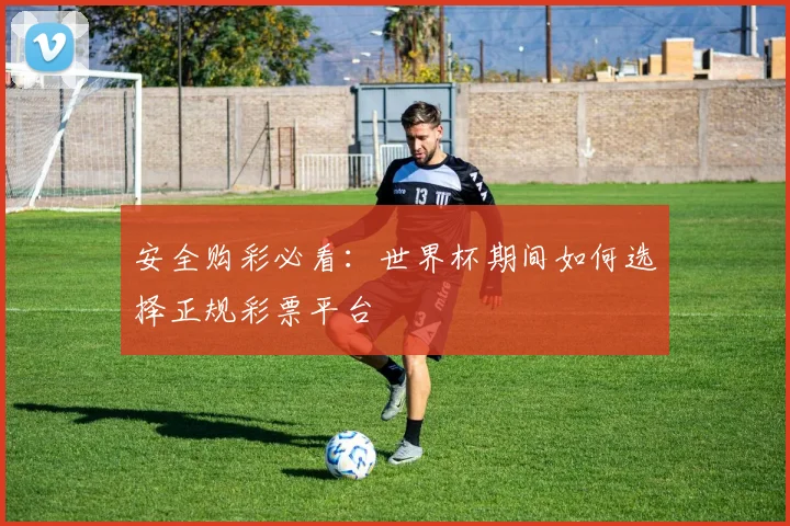 安全购彩必看:世界杯期间如何选择正规彩票平台