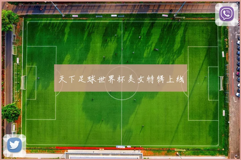 天下足球世界杯美女特辑上线