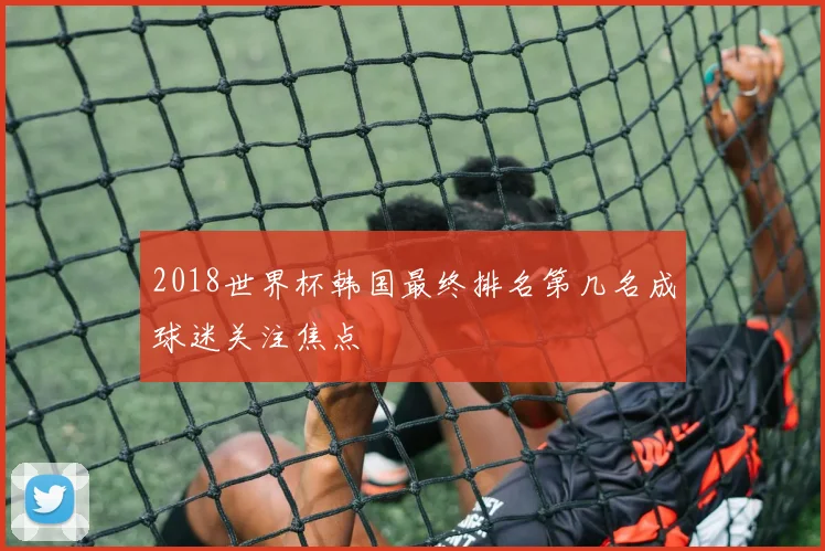 2018世界杯韩国最终排名第几名成球迷关注焦点