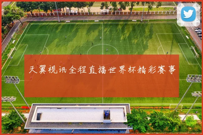 天翼视讯全程直播世界杯精彩赛事