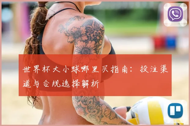 世界杯大小球哪里买指南：投注渠道与合规选择解析
