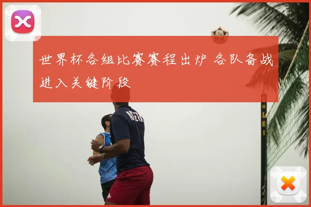 世界杯各组比赛赛程出炉 各队备战进入关键阶段
